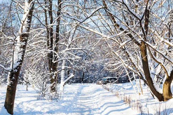 Sneeuw Bedekte Pad Naar Timiryazevskiy Stadspark Moskou Stad Zonnige Winterdag — Stockfoto