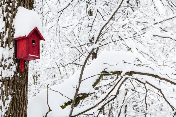 Nichoir Bois Rouge Dans Forêt Hiver Parc Timiryazevskiy Moscou — Photo