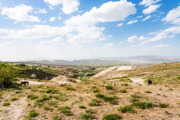 Podróż Turcji Wiejski Krajobraz Pobliżu Miasta Üçhisar Kapadocji Wiosną — Zdjęcie stockowe