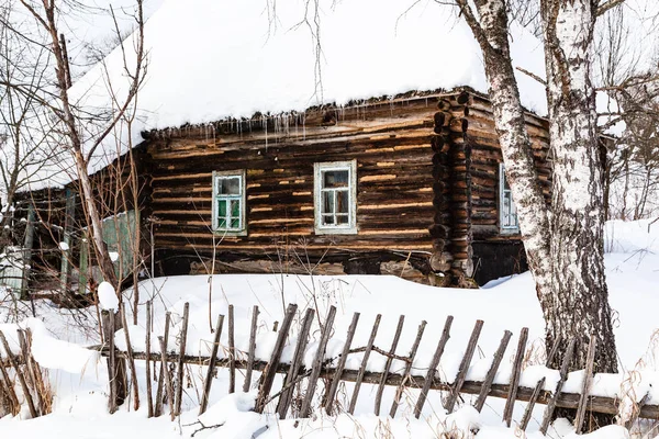 Birch Tree Old Abandoned Russian Wooden Rural House Winter Little — Stock Photo, Image