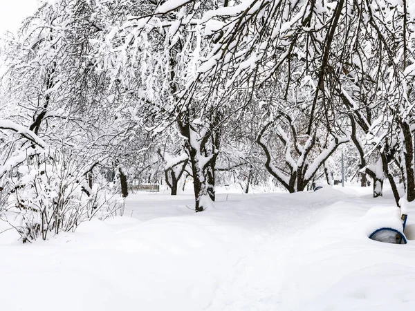 Camino Jardín Urbano Público Cubierto Nieve Ciudad Moscú Invierno Nevadas —  Fotos de Stock