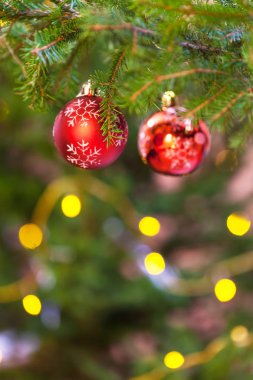 Xmas arka plan - kırmızı topları doğal fir Noel ağacı dal kapalı