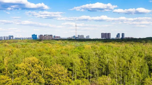 Panoramic View Green Forest Timiryazevsky Park Moscow City Sunny Summer — Stock Photo, Image