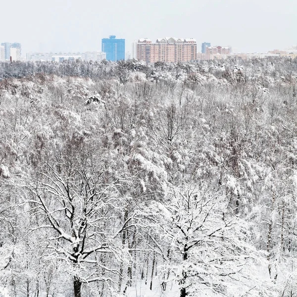 Над Видом Городской Тимирязевский Парк Жилой Район Москвы Зимний Вечер — стоковое фото