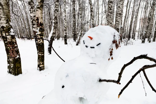 Muñeco Nieve Sonriente Bosque Abedules Del Parque Timiryazevskiy Ciudad Moscú —  Fotos de Stock