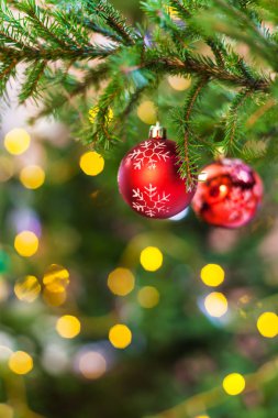 Xmas arka plan - kırmızı toplarla iki kar tanesi üzerinde yeşil doğal Noel ağacı dal kapalı