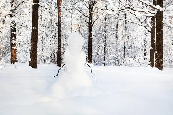 Zăpadă Lama Zăpadă Din Parcul Forestier Timiryazevskiy Din Orașul Moscova — Fotografie, imagine de stoc