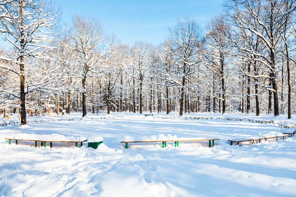 Rekreační Oblast Městském Parku Moskvě Timiryazevskiy Slunný Zimní Den — Stock fotografie