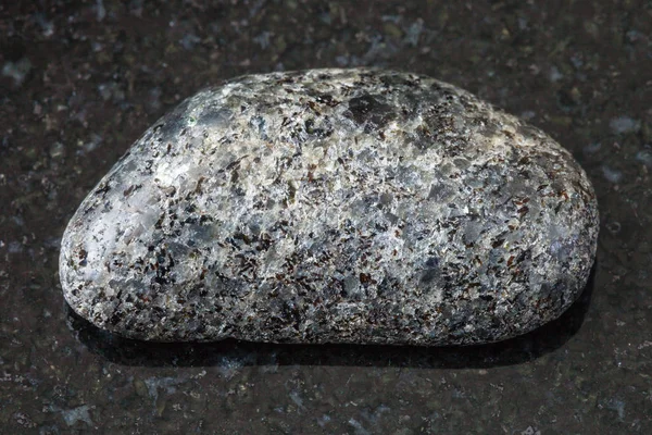 Macrofilmagem Espécime Rocha Natural Pedra Peridotita Tombada Com Phlogopite Mica — Fotografia de Stock