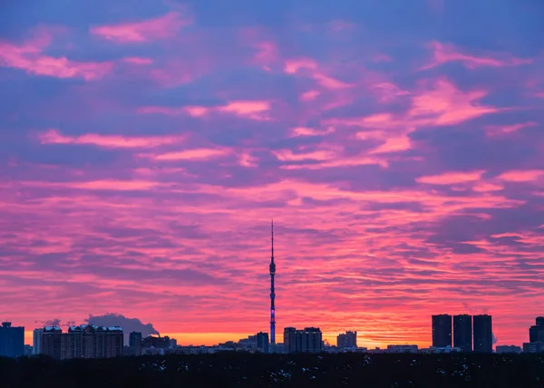 Μπλε Και Ροζ Ανατολή Ηλίου Πάνω Από Moscow City Στην — Φωτογραφία Αρχείου