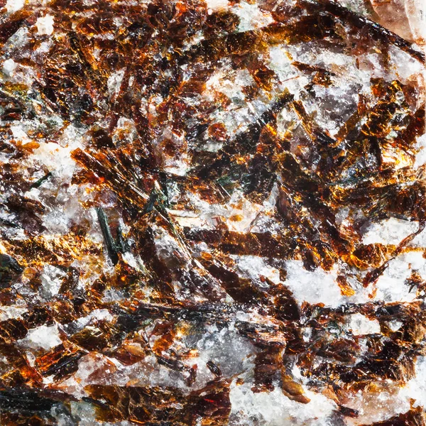 Astrophyllite Mineral Kola Yarımadası Üzerinden Doğal Doku Makro Çekim — Stok fotoğraf