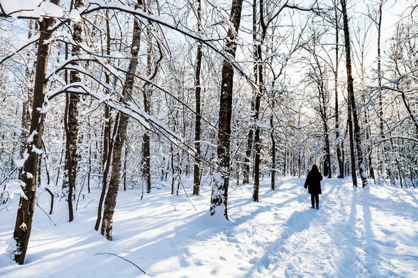 Woman Snowy Path Timiryazevskiy Park Moscow City Sunny Winter Day — Stock Photo, Image