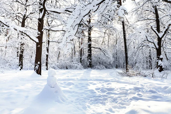 在阳光明媚的冬日早晨 莫斯科市 Timiryazevskiy 森林公园的橡树林里 雪人在被雪覆盖的草地上 — 图库照片
