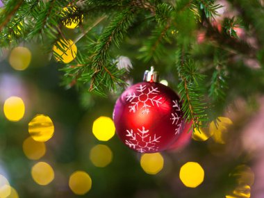 Xmas arka plan - kırmızı topla bir kar tanesi üzerinde doğal Noel ağacı dal kapalı