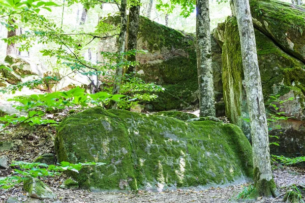 Wycieczka Shapsugskaya Nietypowe Strefy Płyty Piaskowca Starożytnych Kamieniołomie Prehistorycznych Shambala — Zdjęcie stockowe