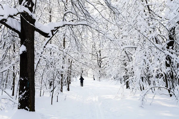 莫斯科 Timiryazevskiy 森林公园冰雪覆盖的滑雪跑道在阳光明媚的冬日清晨 — 图库照片