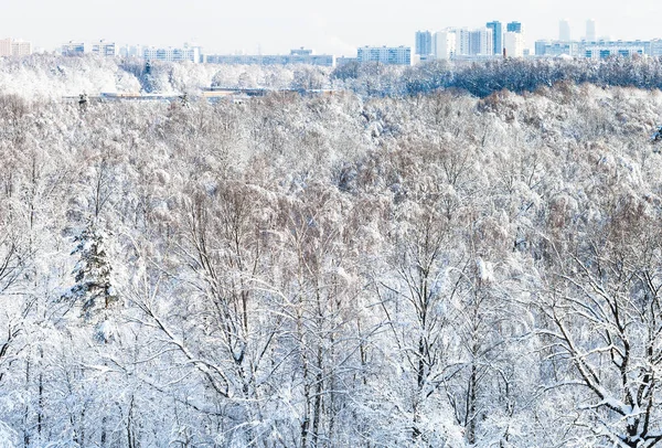 Vista Superior Del Parque Nevado Timiryazevsky Distrito Residencial Ciudad Moscú —  Fotos de Stock