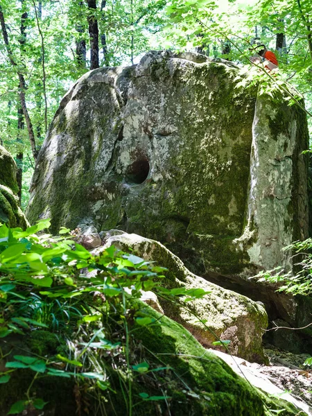 Tour Shapsugskaya Anomale Zone Gemeißelte Felsen Prähistorischen Shambala Karriere Abinsk — Stockfoto