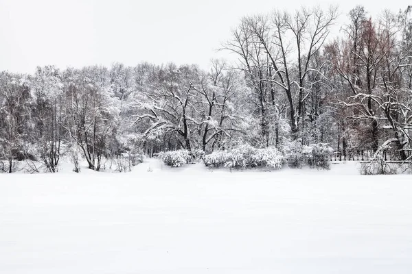 Schneefeld Auf Gefrorenem See Und Blick Auf Den Städtischen Timiryazevskiy — Stockfoto