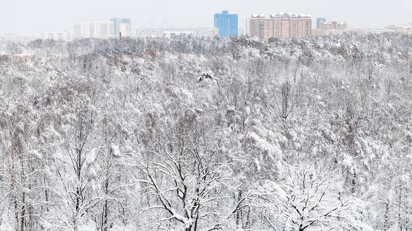Boven Uitzicht Besneeuwde Stadspark Timiryazevskiy Residentiële Wijk Moskou Stad Winteravond — Stockfoto