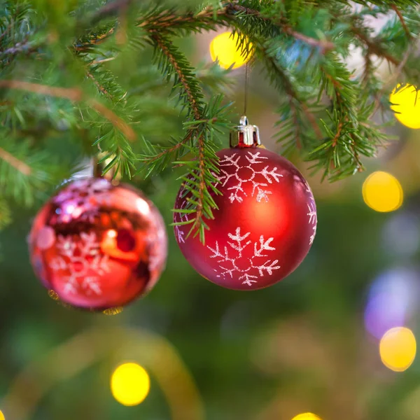 Xmas Tło Dwa Czerwone Kulki Gałęzi Choinki Jodła Naturalne Bliska — Zdjęcie stockowe