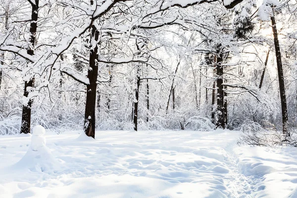 Bałwan Snowy Polanie Oak Grove Timiryazevskiy Forest Park Moscow City — Zdjęcie stockowe