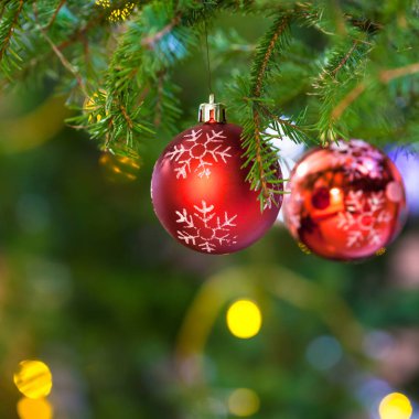 Xmas arka plan - kırmızı topları ile taze Noel ağacı dalı kapalı kar tanesi
