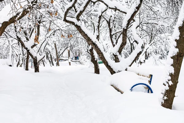 Sendero Jardín Urbano Público Cubierto Nieve Ciudad Moscú Invierno Nevadas —  Fotos de Stock