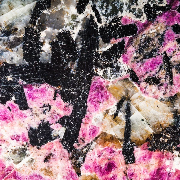 黒いエジリン閃長岩 Lujaurite 岩の結晶に自然なピンク ユージアル鉱物から正方形の背景をクローズ アップ — ストック写真