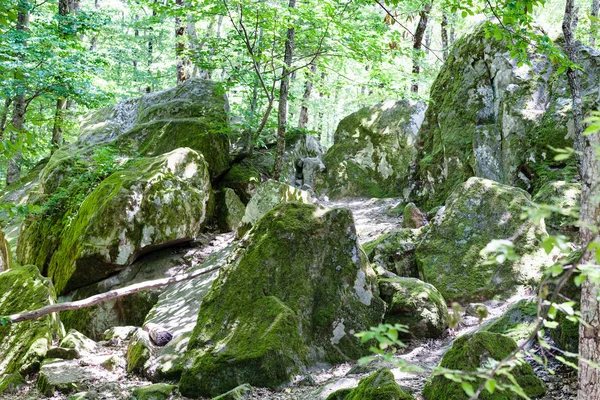 Экскурсия Шапсугскую Аномальную Зону Скалы Песчаника Доисторическом Карьере Шамбала Абинском — стоковое фото