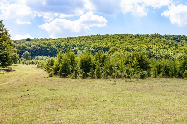 Shapsugskaya anormal bölgesine - Daisy çayır içinde Abinsk eteklerinde Kafkas Dağları'nın Rusya'nın Kuban bölgede Tur