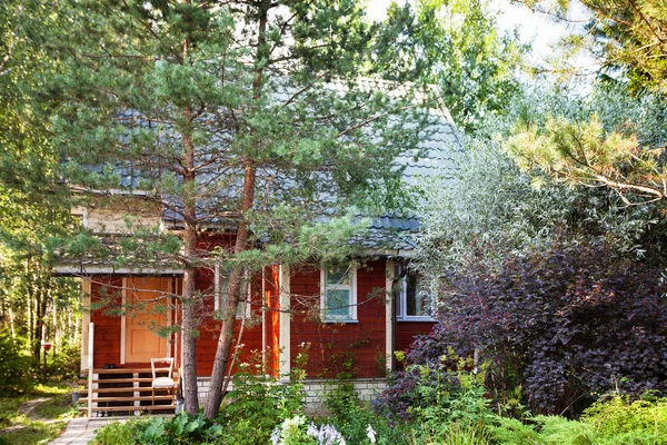 Little Wooden Cottage Overgrown Garden Summer Day Tver Region Russia — Stock Photo, Image