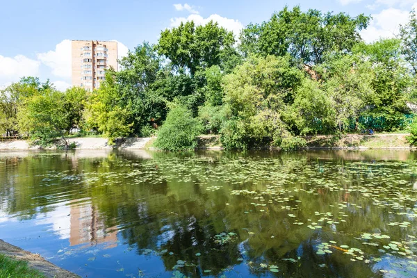 Zhabenka Nehri Yakınında Timiryazevskiy Park Moscow City Yaz Aylarında Gölde — Stok fotoğraf