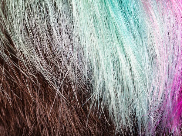 Colored Strands Female Hairs Close — Stock Photo, Image