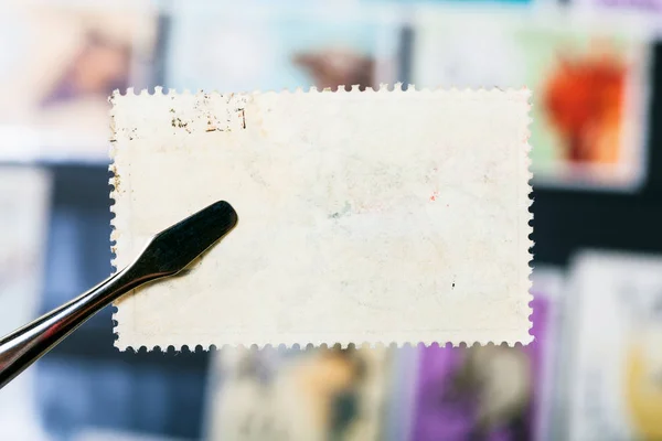 Filatelie Concept Tang Postzegel Met Ongebruikte Lijm Achterop Boven Houdt — Stockfoto