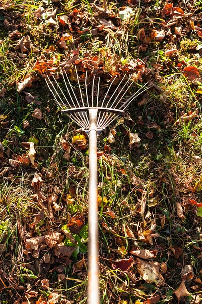 Beseitigung Der Umgefallenen Blätter Sonnendurchfluteten Hinterhof Mit Gartenharke Herbstabend — Stockfoto