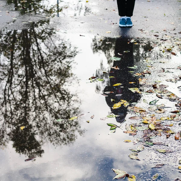 秋天的城市景观 黄色的叶子和青少年附近的雨水水坑 重点是落叶 — 图库照片