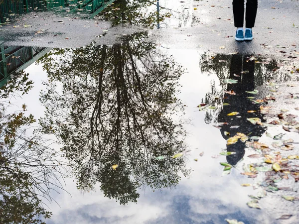 秋天的城市景观 青少年附近的雨水坑与树上的倒影在都市道路上 聚焦在水坑中的倒影 — 图库照片