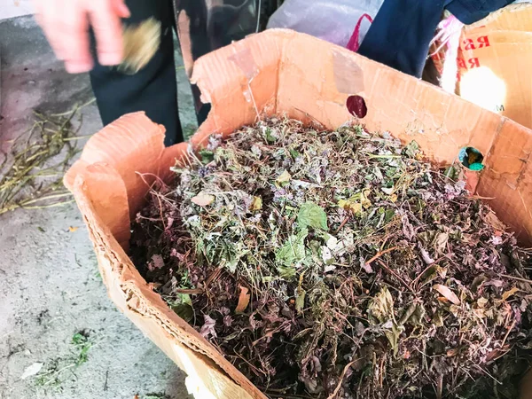 Dombay Russie Septembre 2018 Vente Par Vendeur Herbes Séchées Locales — Photo