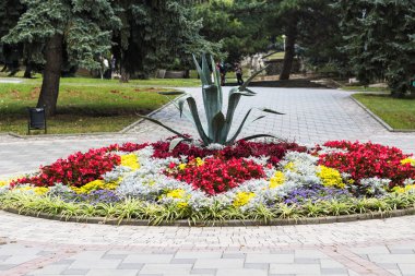 Beyaz maden suları bölgesi - Pyatigorsk City Lenin meydanında flowerbed seyahat