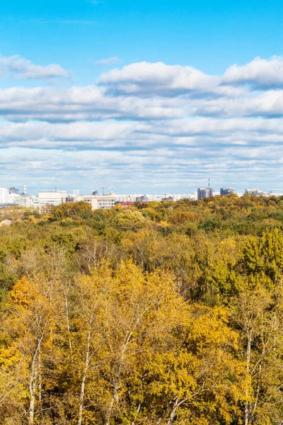 Vita Moln Blå Himmel Över Färgglada Skog Timiryazevskiy Park Och — Stockfoto