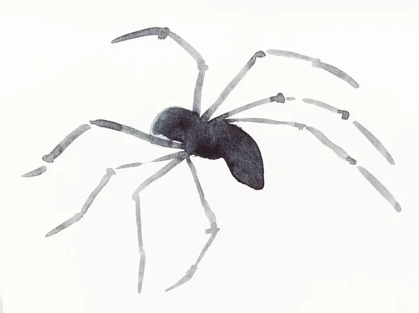 Hand Painting Sumi Style Cream Paper Running Spider Drawn Black — Stock Photo, Image