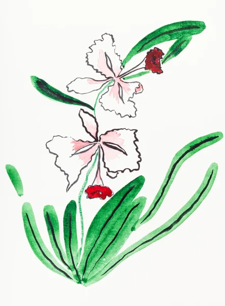 Peinture Main Dans Style Sumi Sur Papier Crème Fleur Orchidée — Photo