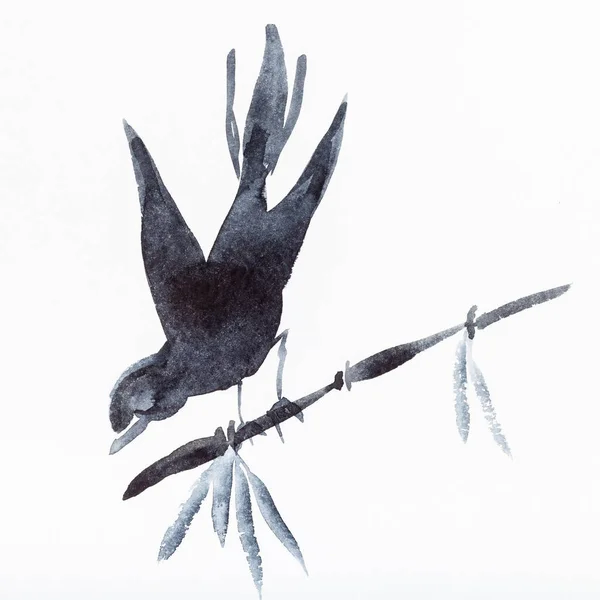 hand painting in sumi-e style on white paper - bird on bamboo twig drawn by black watercolors