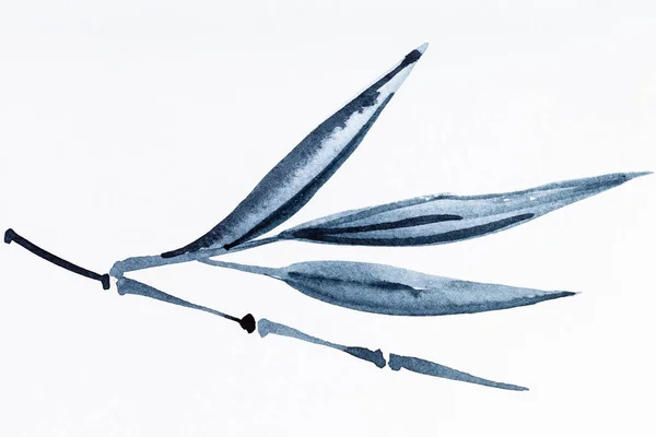 hand painting in sumi-e style on white paper - bamboo twig drawn by black watercolors