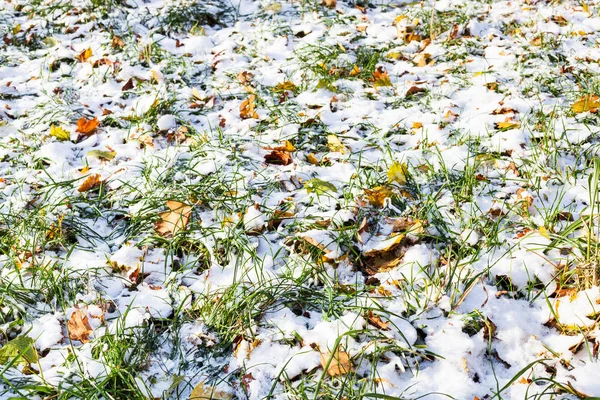 View Meadow Covered First Snow Sunny Autumn Day — Stock Photo, Image