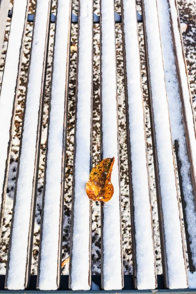 Опавший Лист Деревянной Скамейке Покрытой Первым Снегом Городском Саду Морозный — стоковое фото