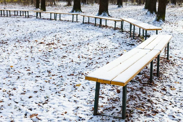 Bancos Madera Cubiertos Con Primera Nieve Zona Recreo Del Parque —  Fotos de Stock