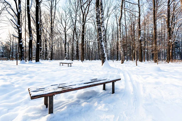 Banco Cubierto Nieve Parque Urbano Crepúsculo Invierno —  Fotos de Stock