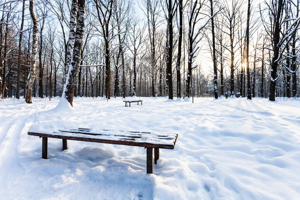 Vista Del Banco Cubierto Nieve Parque Urbano Crepúsculo Invierno —  Fotos de Stock